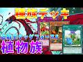 【#遊戯王タッグフォース6】強力な植物族サポート《増草剤》で戦う　植物族デッキ解説【#ゆっくりクロト】