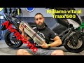 Qual'è il miglior T Max di sempre?! T Max 500 Akrapovic exhaust