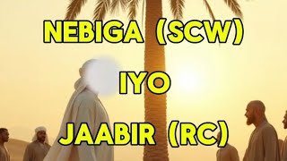 Qiso Cibro Qaadasho Fiican