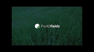 Descrubre Pix4Dfields
