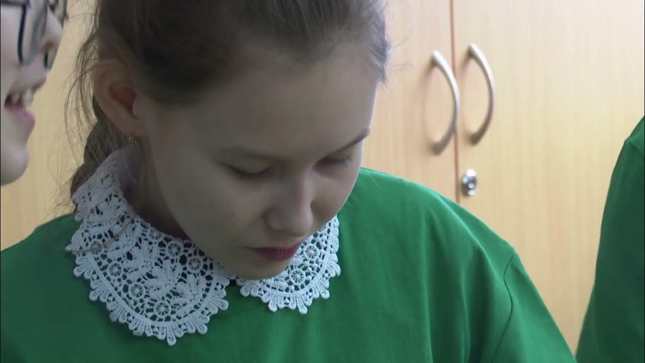Экокормушки рус - YouTube