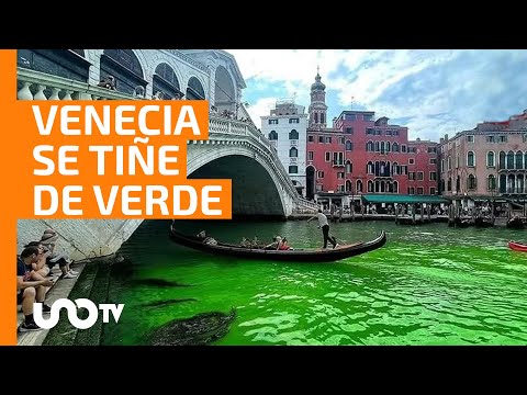 Canal De Venecia Se Tiñe De Verde