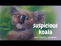 Drawing a cute suspicious koala illustration with soft pastels