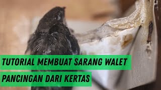 Sukses Membuat Walet Cepat Bersarang Hanya dengan Kertas!