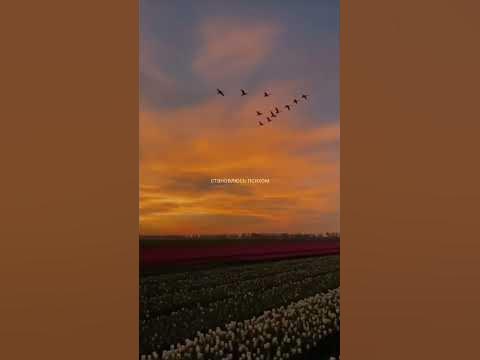 🥺💔#музыка #эстетика #music - YouTube