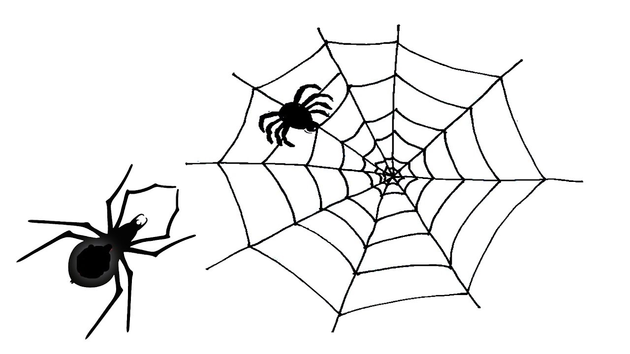 Детский рисунок паутинка и паук