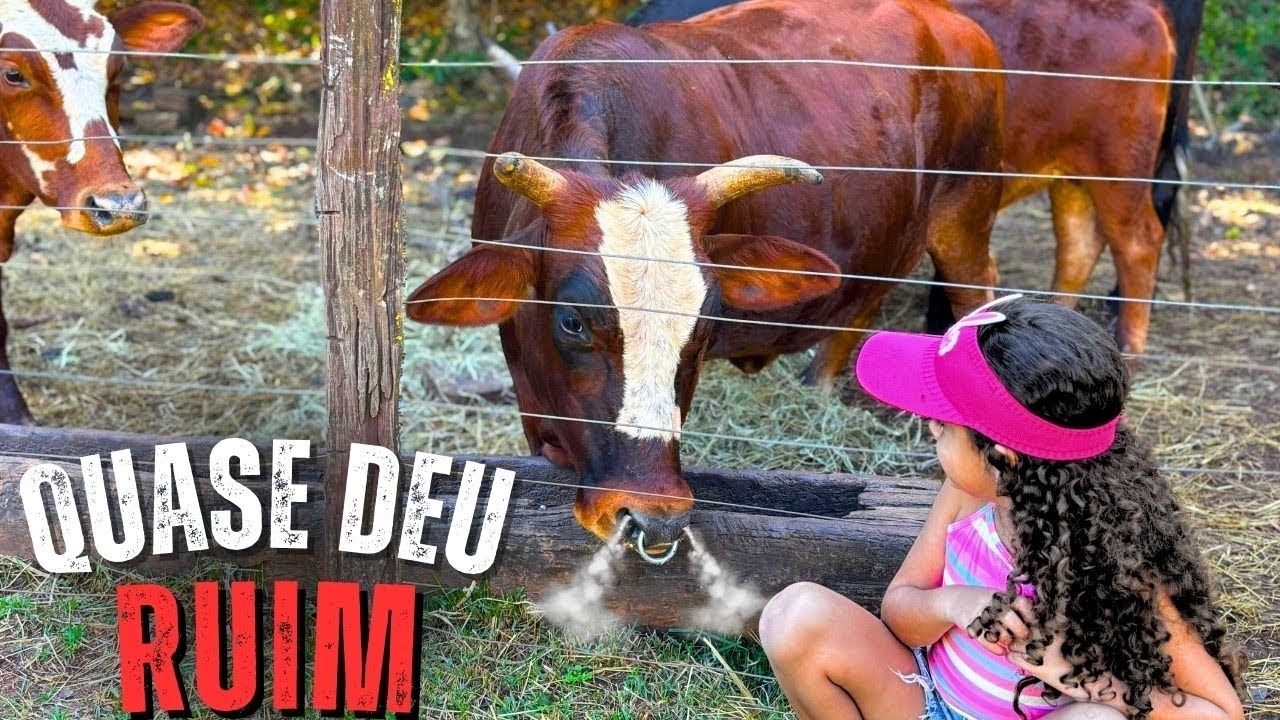 Visitamos uma fazendinha com Mini animais - vacas, bois e cavalos 🐎 🐮