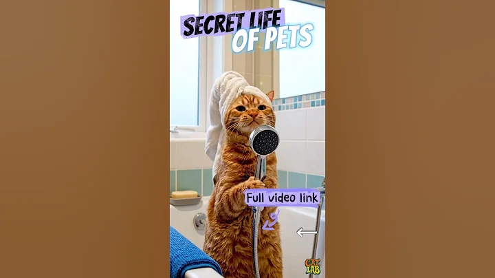 Video 11200631: ginger cat bathing, hilarious cat, cat shower, cat bathroom