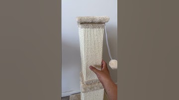 3AGYM Cat Scratching post review #amazonpetfinds #catslover