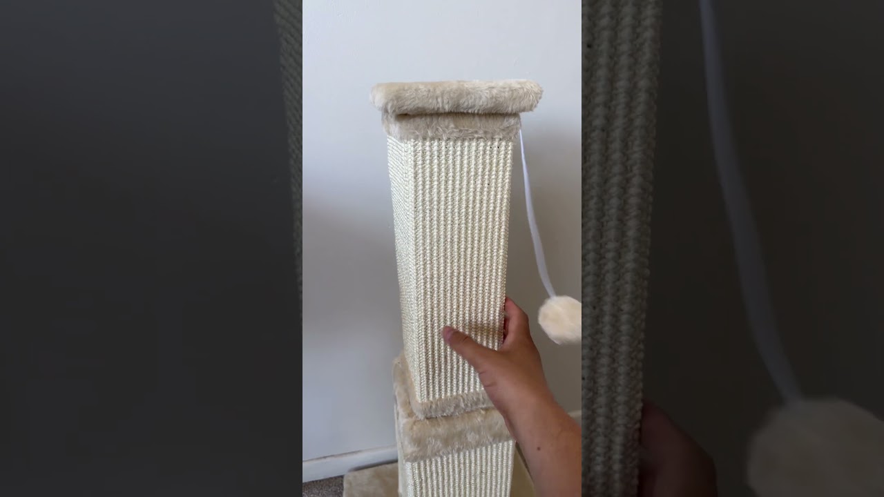 3AGYM Cat Scratching post review 