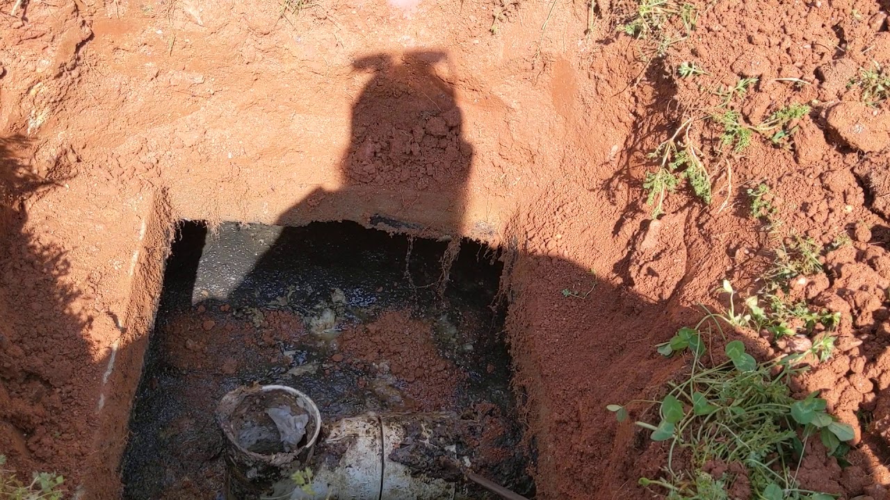A sign that your septic tank filter needs cleaning or your having drain field problems!