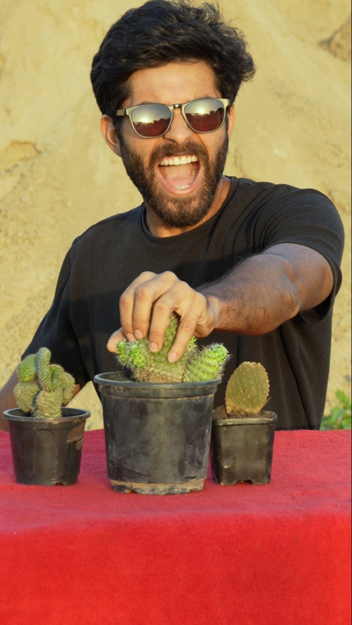 Cactus Spikes Attack #shorts #bluebox