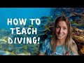 Tips for New Dive Instructors | How to teach your first  Diving Course
