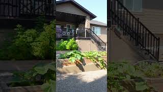 12 Park Lane Olds Reel