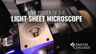 The Power of the Light-Sheet Microscope with Michael Barresi