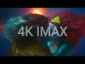 Mera kissing aquaman  kissing scene  aquaman 2018 bluray 4k imax