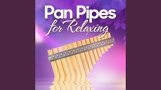 Download Lagu Hey Jude MP3