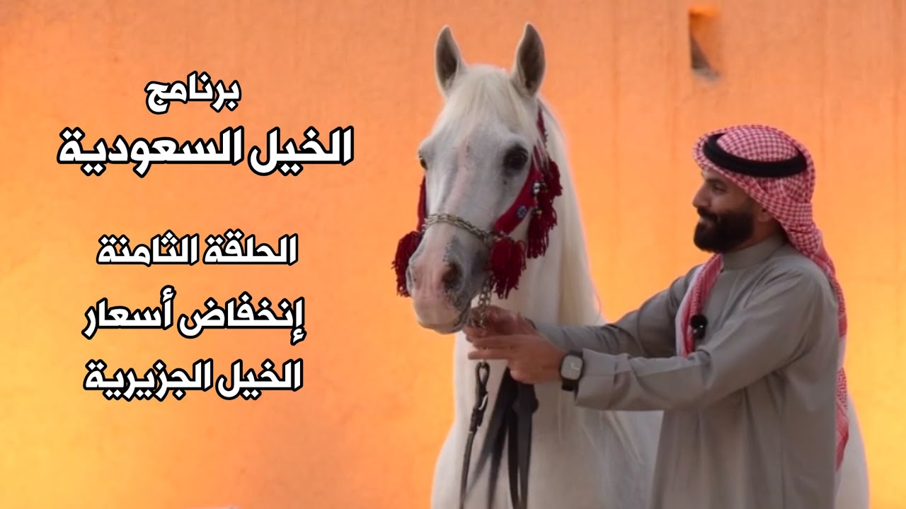 برنامج الخيل السعودية | الحلقة الثامنة |  إنخفاض أسعار الخيل الجزيرية | حمد اللاحم