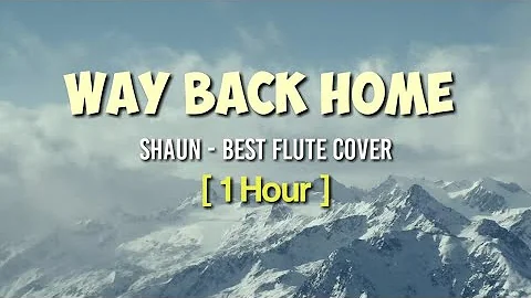 1 Hour Way Back Home -(Shaun) Best Flute Cover