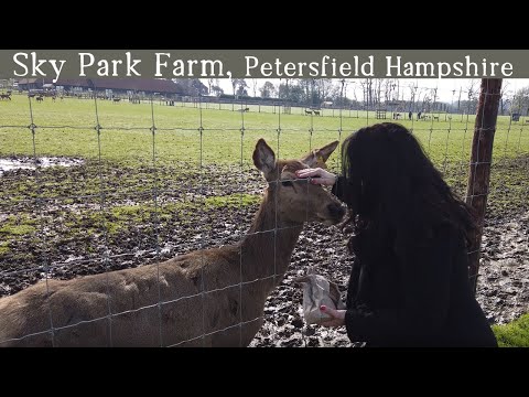 Sky Park Farm, near Petersfield Hampshire - day out with kids