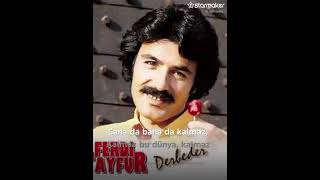 Davut canpolat