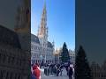 歐洲比利時布魯塞爾布魯塞爾大廣場聖誕樹Christmas tree in Brussels, Belgium (Grand Place)