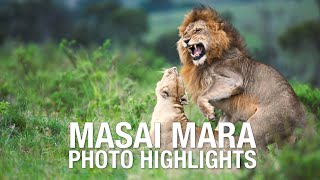 Masai Mara Safari - Angama Mara 2023 Photo Highlights