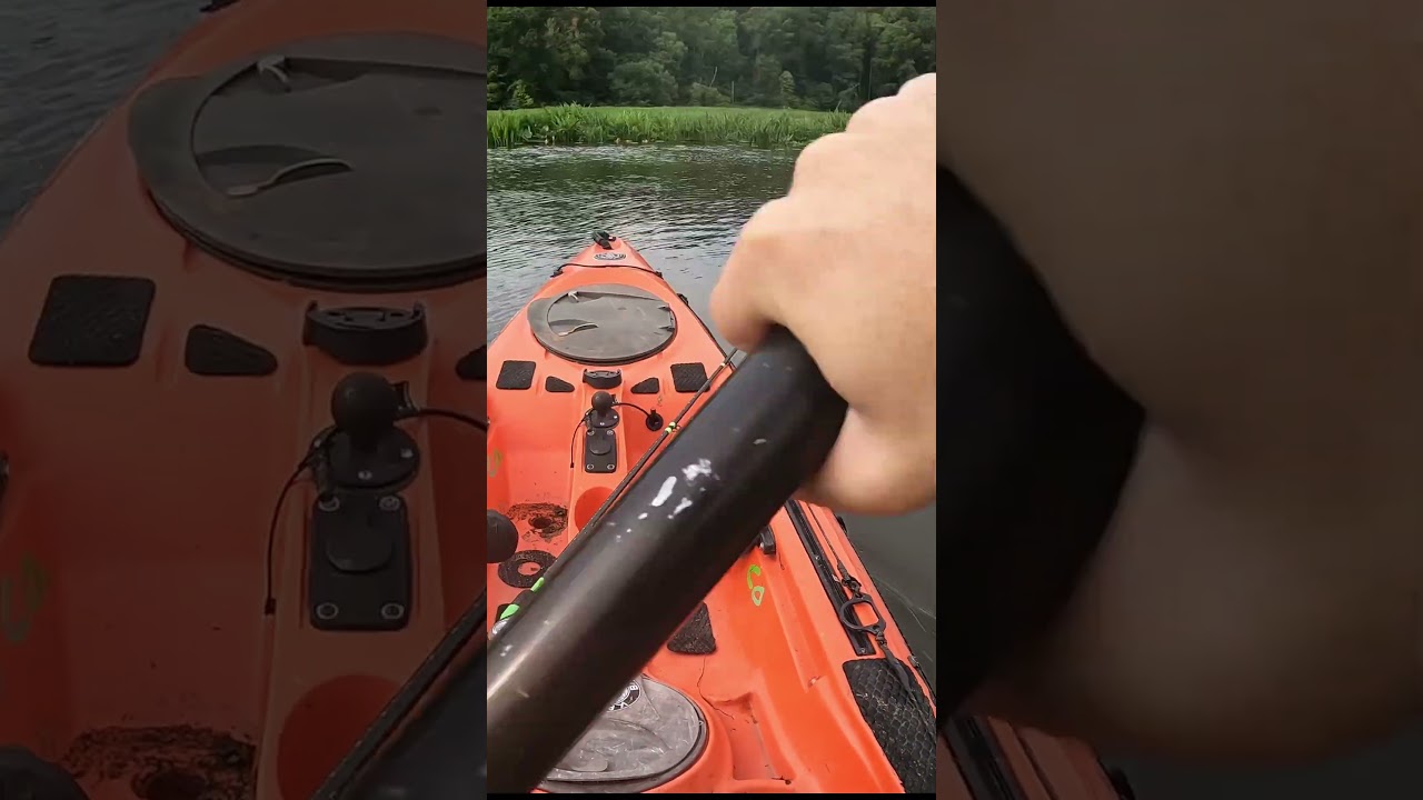 🔥IS This A BIG SNAKEHEAD🔥 