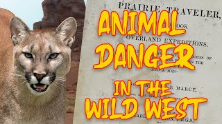 Animal Danger in the Wild West