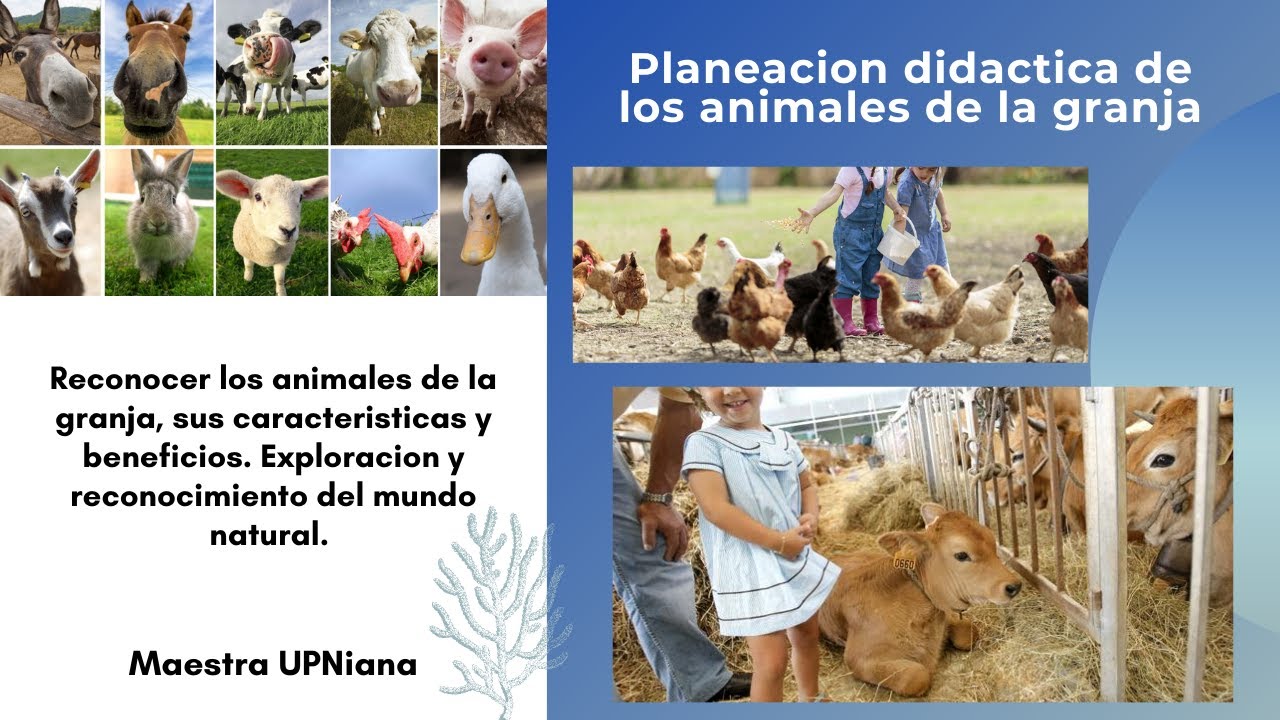 PLANEACION DE LOS ANIMALES DE LA GRANJA - YouTube