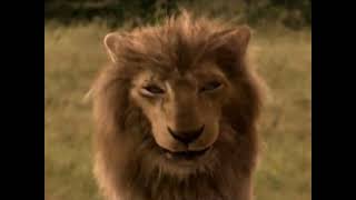 American Lion (LA 10,000 BC 2004)