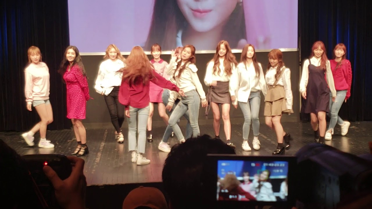 181110 IZONE 팬사인회 라비안로즈