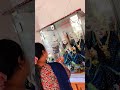 Mahakaal Bholenath Ujjain Wale 🔱 #viral #mahakal #bholenath #mahadev #ujjain #love #shiv #shorts
