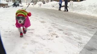 When does it get too cold to snow? Never. Here's why.