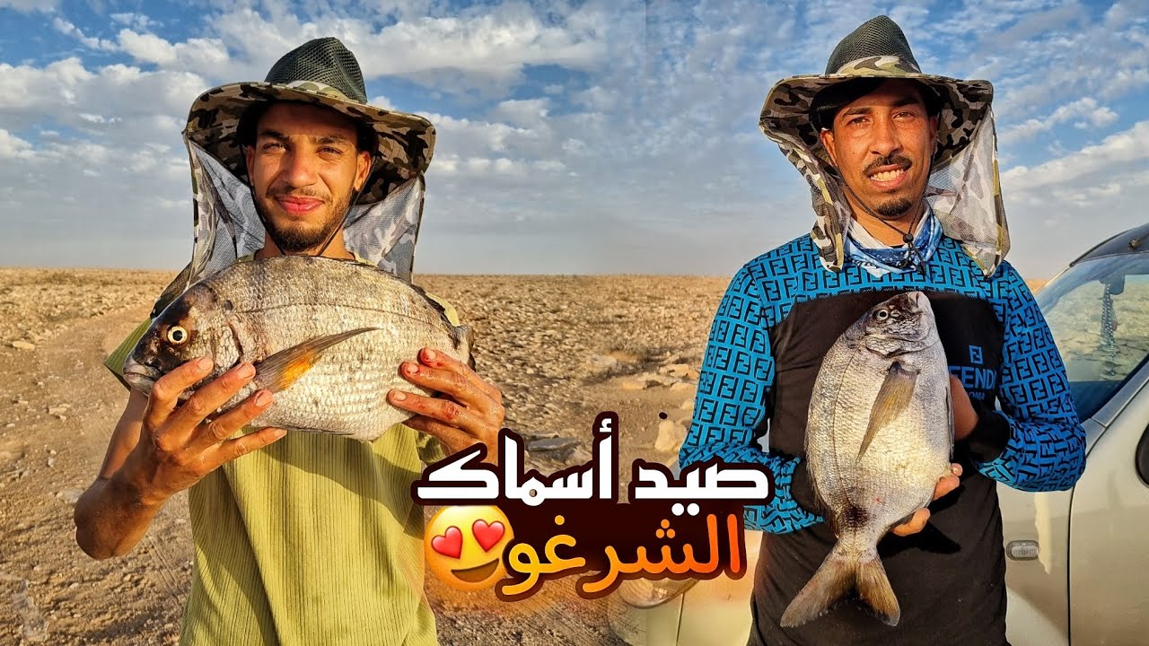 رحلة صيد أسماك الشرغو مصيد جنوب مدينة بوجدور 🐟🎣😍