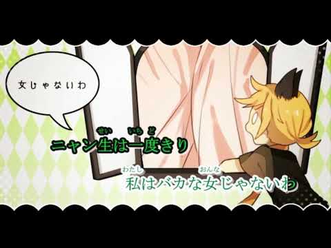 嗚呼、素晴らしきニャン生【歌ってみた】