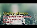 Майор "ВОВК": Найбільше бракує броньованої західної техніки | Звільнення Херсону і Криму неминуче!