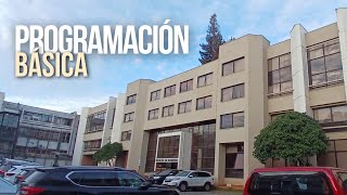 ¿Cómo Aprender Programación Básica Fácilmente? Ejercicios Resueltos para Empezar Sin Complicaciones