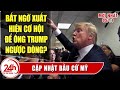 Cập Nhật kết quả bầu cử Tổng Thống Mỹ mới nhất. Xuất hiện cơ hội mới cho  Ông Trump lội ngược dòng