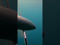 【魚突き】海中で血抜きしたら... Spearfishing #shorts