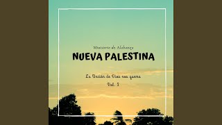 Video thumbnail of "M.A.A. Nueva Palestina - Bienvenido Eres Tu"