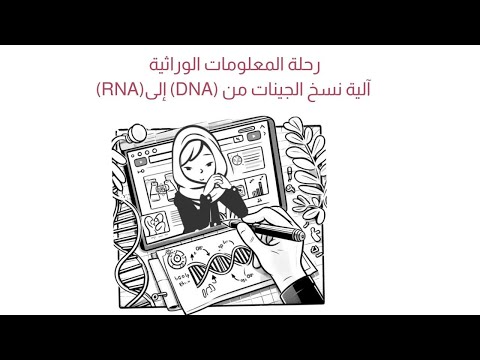 آلية نسخ الجينات من الحمض النووي الى الحمض النووي الريبوزي المفتاح لفهم الوراثة والأمراض