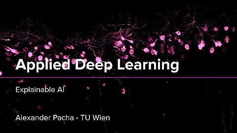 Applied Deep Learning 2025 - Lecture 10 - Explainable AI