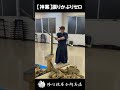 【神業】振りかぶりゼロ！刃が完全に触れた「ゼロ距離」から斬る別次元の居合 #shorts