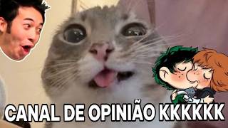 Os justiceiros de sofá ( canais de opinião )