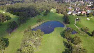 Asquith Golf Course Promo May 17 screenshot 5
