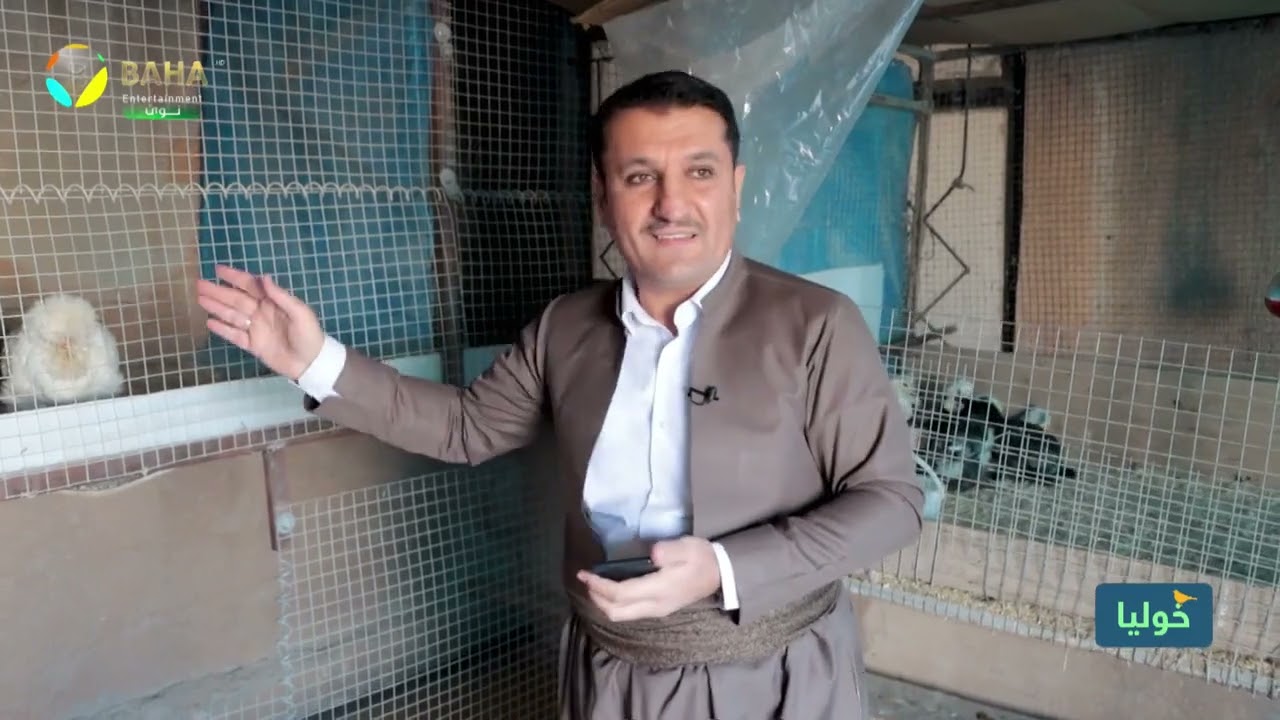 لێدوانم تایبەت  بەمریشکی  کوردی جنجر