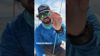 Try These Rigs For Mangrove Snapper!