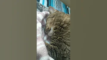 Penny Knows How To Relax And Recharge Do You 