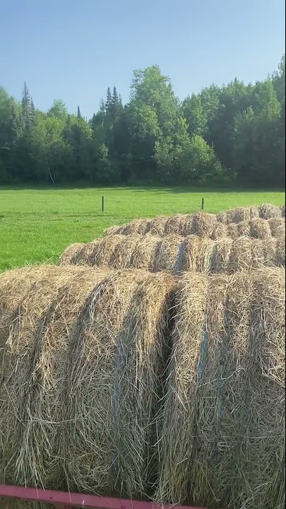 Video: Taking the hardship out of silage bales - New Hayknife hits